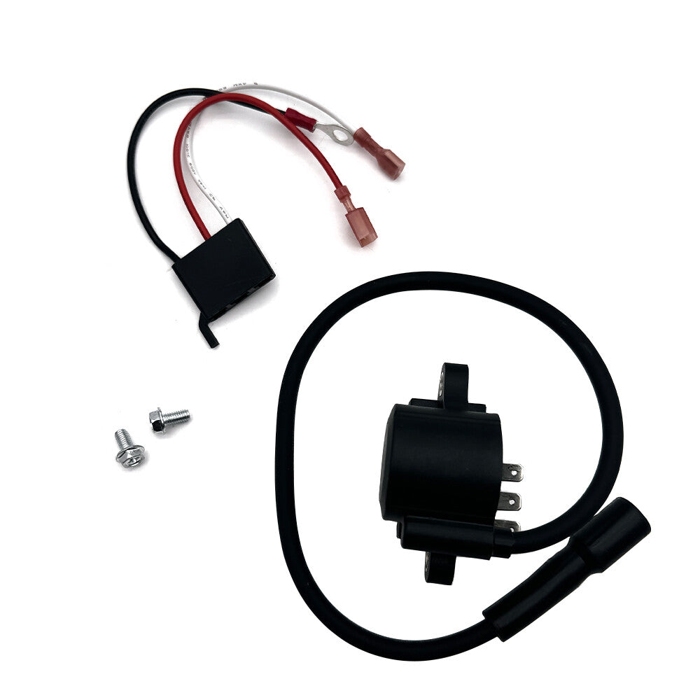 Lawn & Garden Equipment Engine Ignition Module Replace12-707-01-S