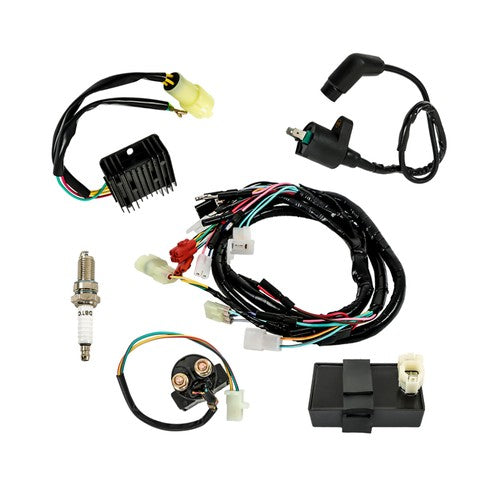 For Honda FourTrax 300 TRX300FW 4x4 CDI Ignition Coil Spark Plug Wire Harness