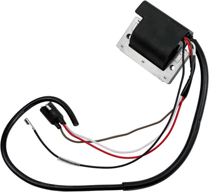 Ignition Coil Compatible with Club Car DS Golf Cart 1984-1989 341cc for 1012520