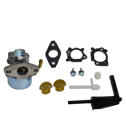 NEW Carburetor for Briggs & Stratton 698479 591925 698475 693518 With Gaskets