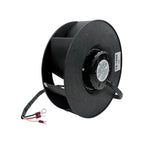 12V Evaporator Fan Motor 78-1362 For Thermo King T-800R T-1000 T-1000R T-1200R