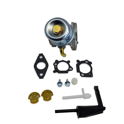 NEW Carburetor for Briggs & Stratton 698479 591925 698475 693518 With Gaskets