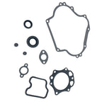 Engine Gasket Kit and Seals for Club Car DS Precedent FE290 Golf Cart