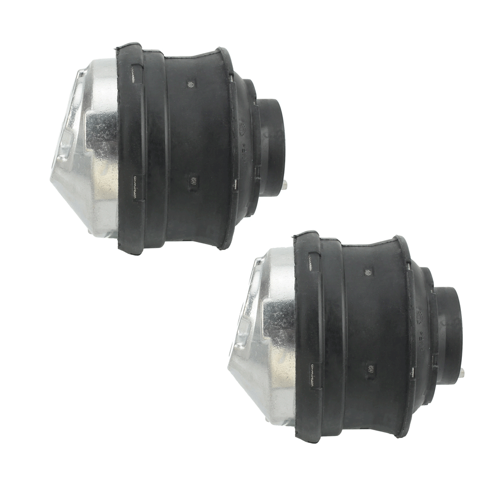 New Oil Filled Hydraulic Engine Motor Mount Pair LH RH sides For Mercedes Benz