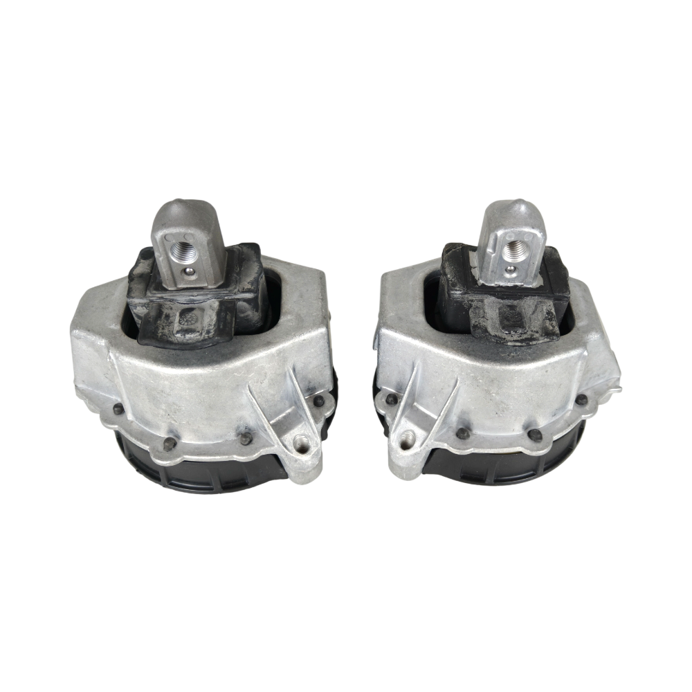 For BMW Z4 230i 330i 430i 2.0L 19-23 2Pcs Engine Motor Mount Left & Right