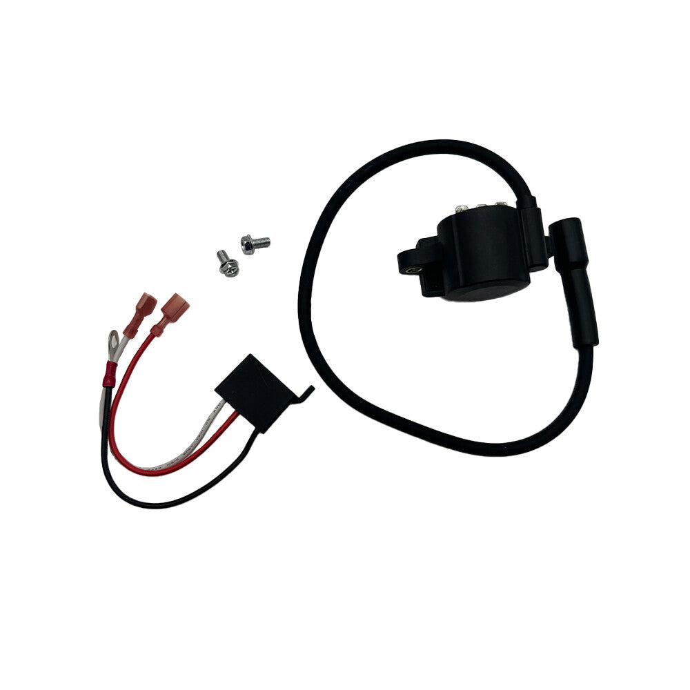 Lawn & Garden Equipment Engine Ignition Module Replace12-707-01-S