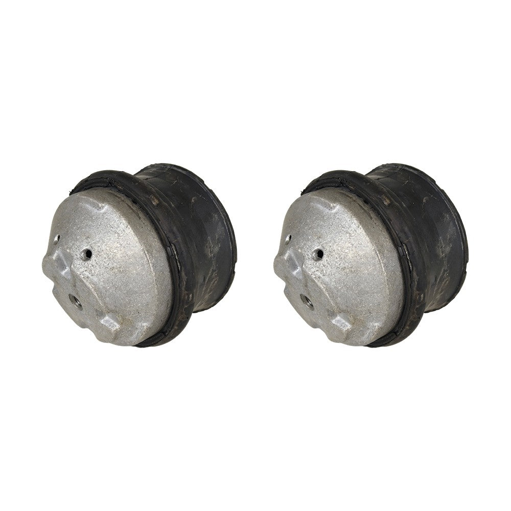 New Oil Filled Hydraulic Engine Motor Mount Pair LH RH sides For Mercedes Benz