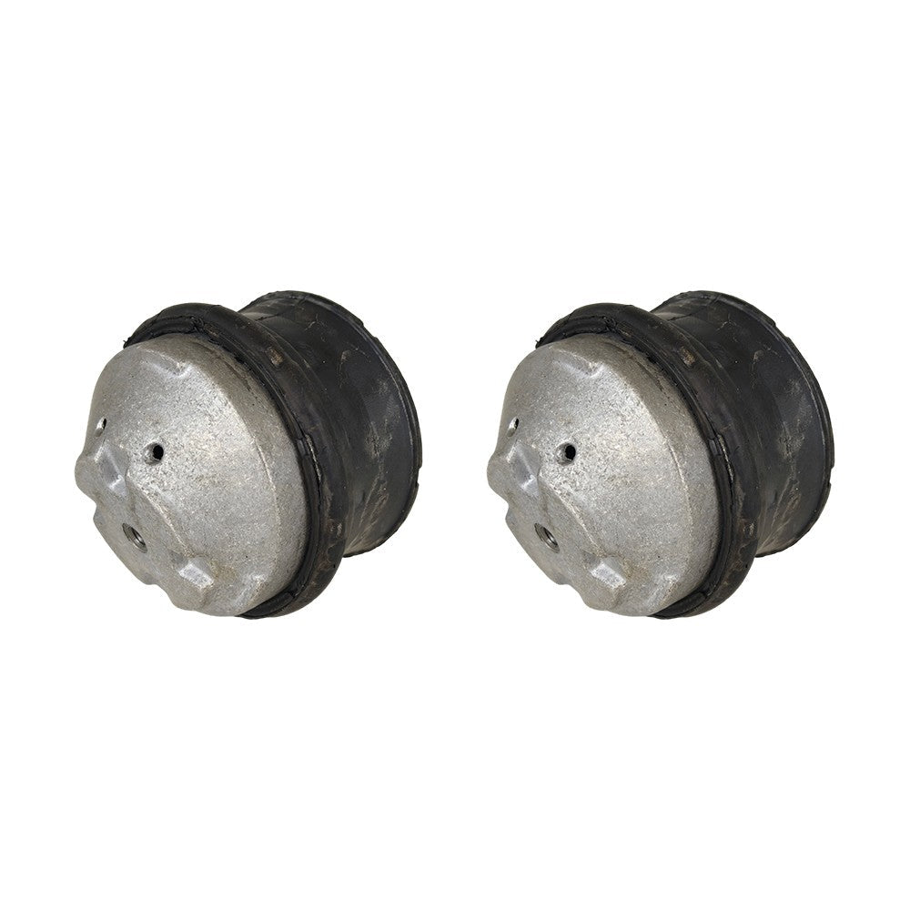 New Oil Filled Hydraulic Engine Motor Mount Pair LH RH sides For Mercedes Benz