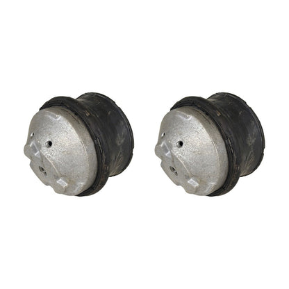 New Oil Filled Hydraulic Engine Motor Mount Pair LH RH sides For Mercedes Benz