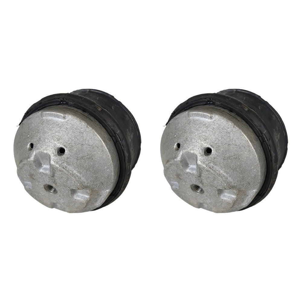 New Oil Filled Hydraulic Engine Motor Mount Pair LH RH sides For Mercedes Benz