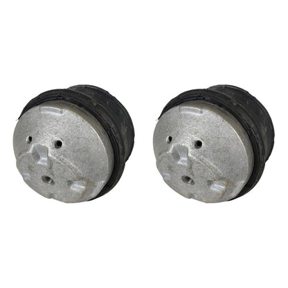 New Oil Filled Hydraulic Engine Motor Mount Pair LH RH sides For Mercedes Benz
