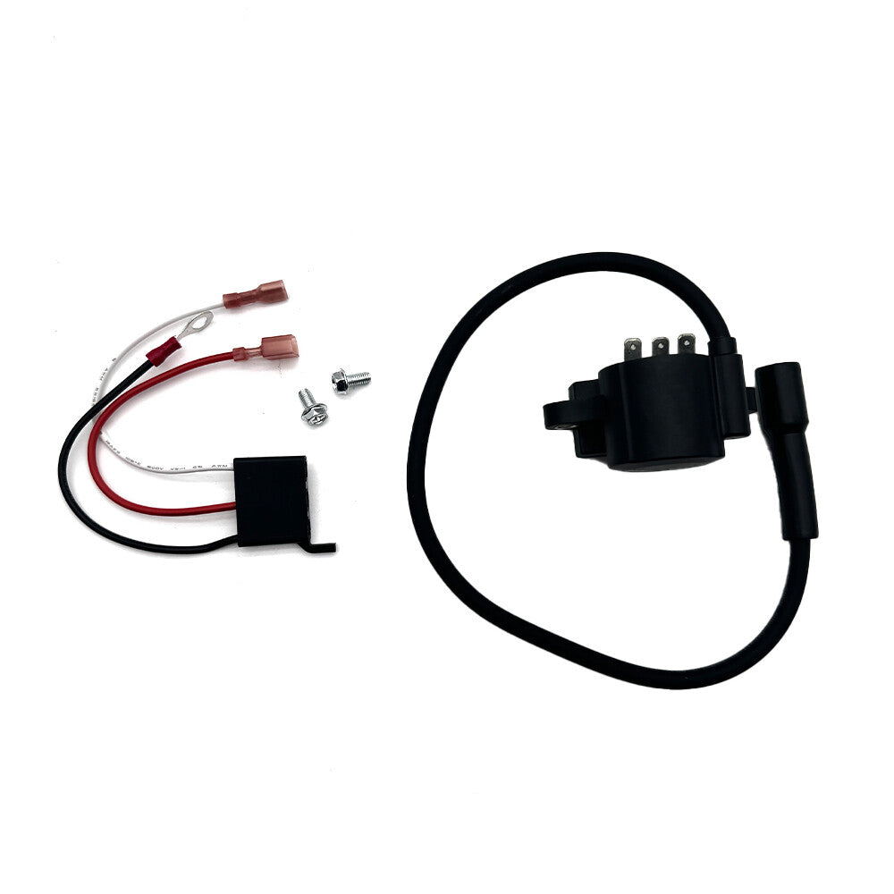 Lawn & Garden Equipment Engine Ignition Module Replace12-707-01-S