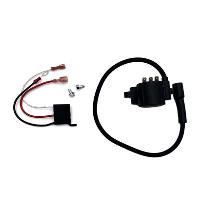 Lawn & Garden Equipment Engine Ignition Module Replace12-707-01-S