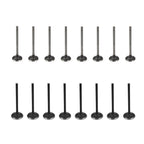 For 2000-2010 GM 2.0-2.2-2.4 ECOTEC DOHC Set of 16 Intake Exhaust Valves