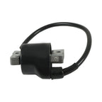 Ignition Coil For Kawasaki Engine 21121-2070 21119-2161 AM109209 FC420V FC400V