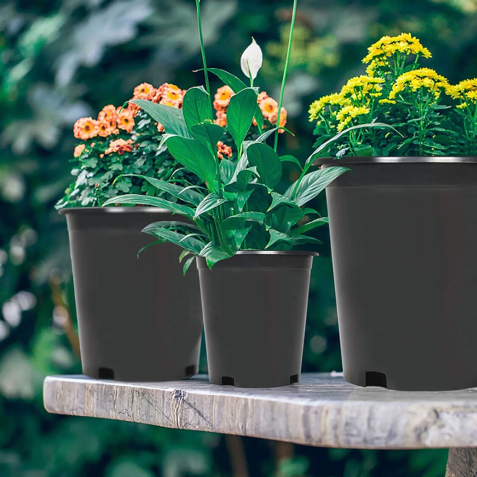 10 Pack 15 Gallon Plastic Nursery Pots Heavy Duty Garden Plant Nutrition Pots