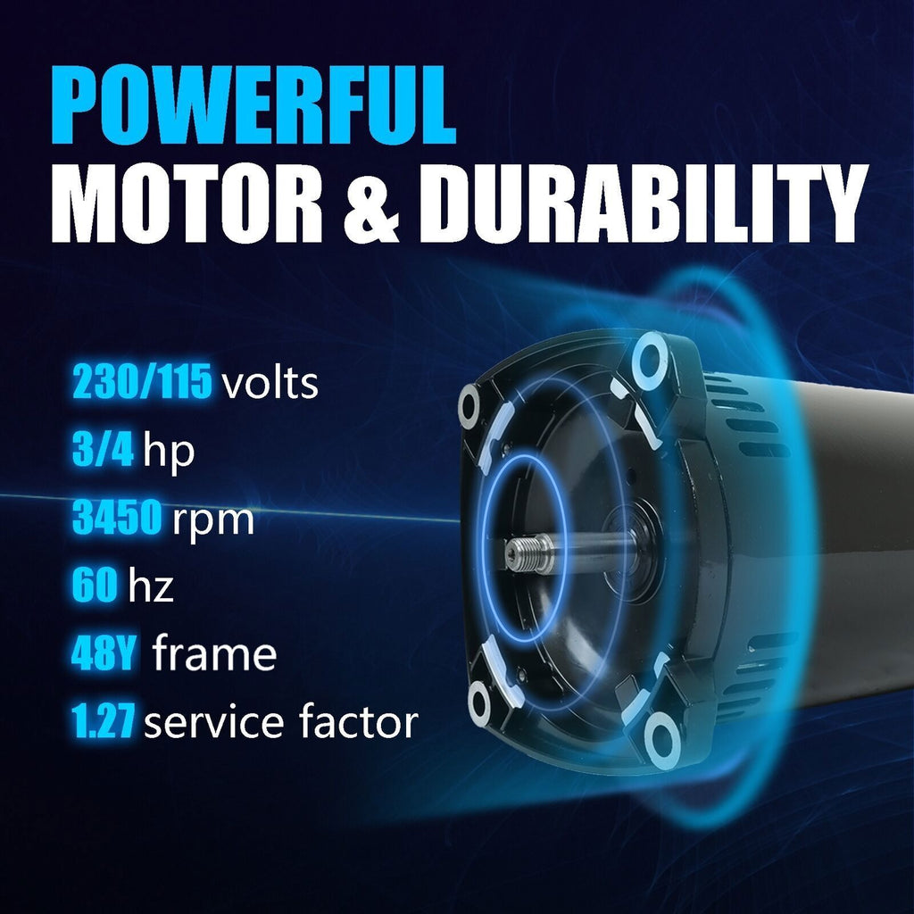Square Flange Swimming Pool Pump 3/4HP Pool Pump USQ1072 Pool Pump Motor