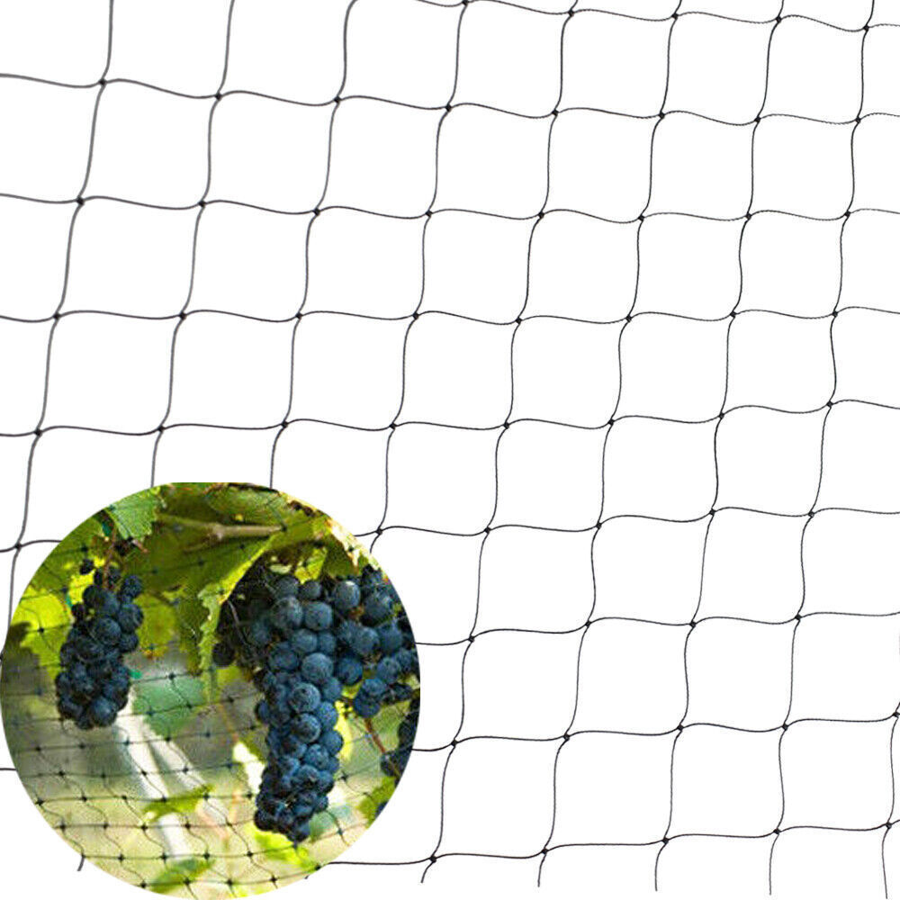 Nylon 25*50' 1" Anti Bird Netting Heavy Duty Garden Bird Poultry Aviary Barrier