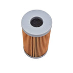 2X Fuel Filter 1A001-43160 for Kubota L235 L2250 L275 L2850 L2950 MX5000  M5700