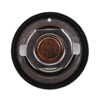 New Thermostat 1E401-73010 for Kubota RTV1100CR RTV1100CR9 RTV1100CRX RTV1100CW