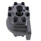 84332710, 84573150 Gear Hydraulic Pump for Case C50 C60 C70 CX80  CX100 395 495