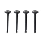 Z500 ZB500 Overhaul Rebuild Kit For Kubota Engine Tractor B5000 B5001 B5100