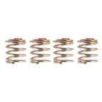 27945-G01 Golf Cart Brake Shoes& Spring Kit For EZGO RXV & TXT Medalist 70794G01