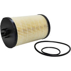 2522082C91 for International Fuel Filter Kit  PFF5548 1878042C93