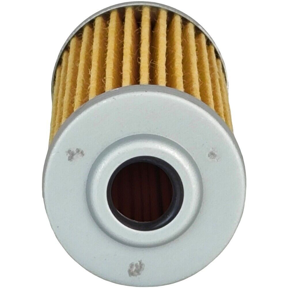 2X Fuel Filter for John Deere F915 F925 F935 FD620D Z994R 445 455 48C 54HC 60HC