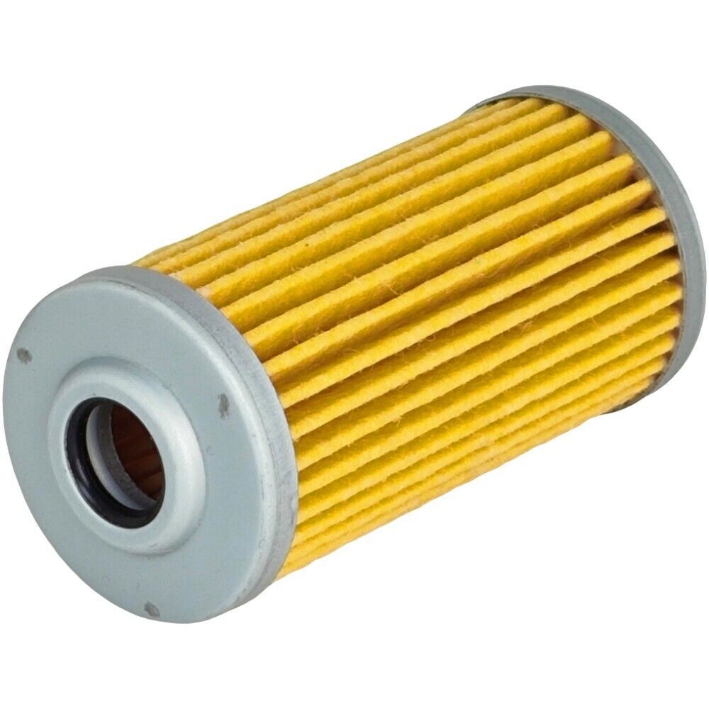 2X Fuel Filter for Massey Ferguson 1735E 1739E 1739E 1740E 1825E 1E25 GC1705