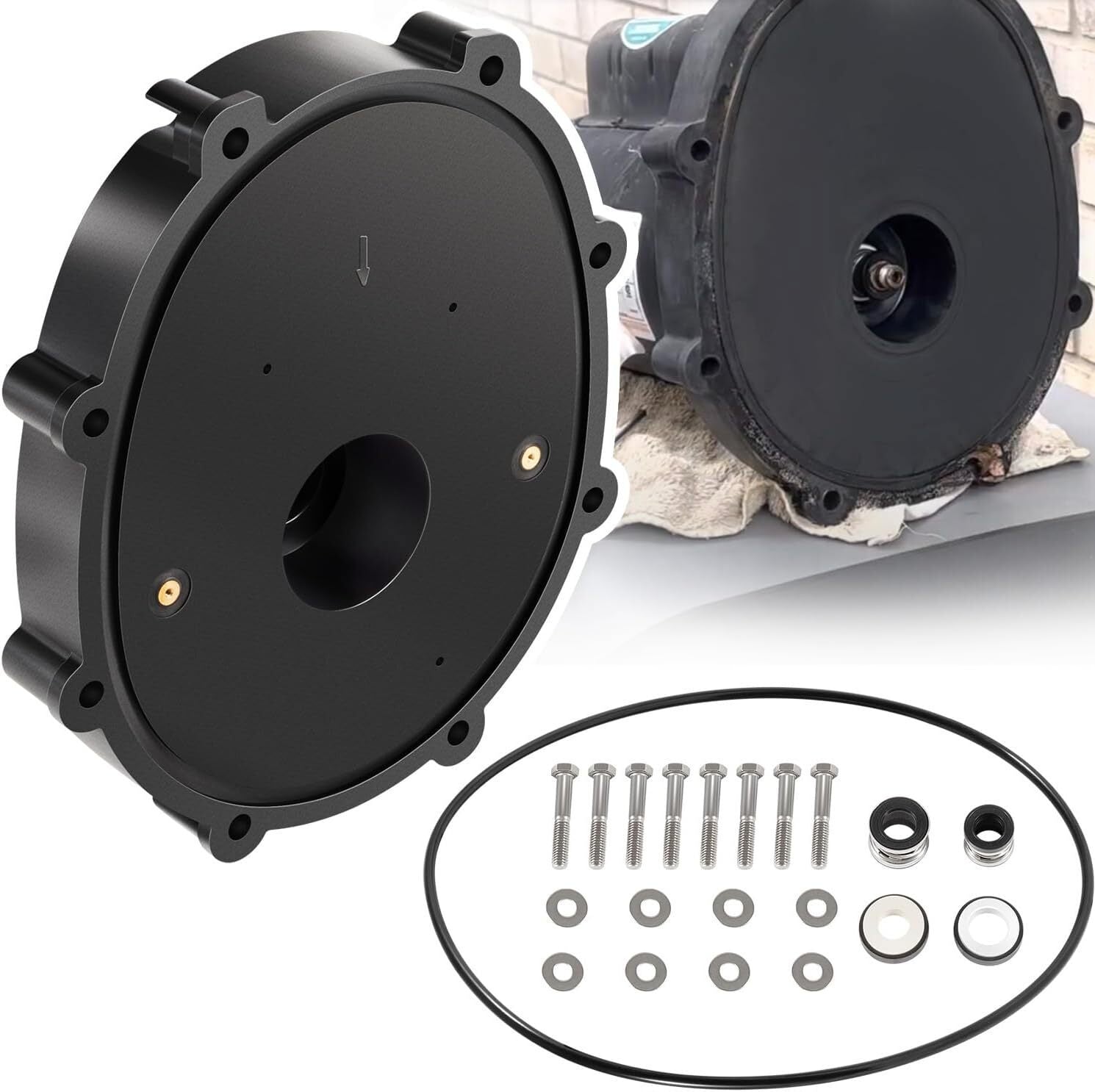 Replacement for Jandy Zodiac R0445200 Pump Backplate Kit