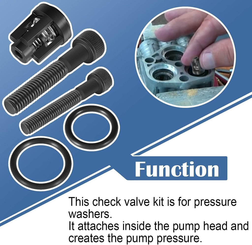 190591GS Pressure Washer Pump Valve Check Kit for Briggs & Stratton, Snapper