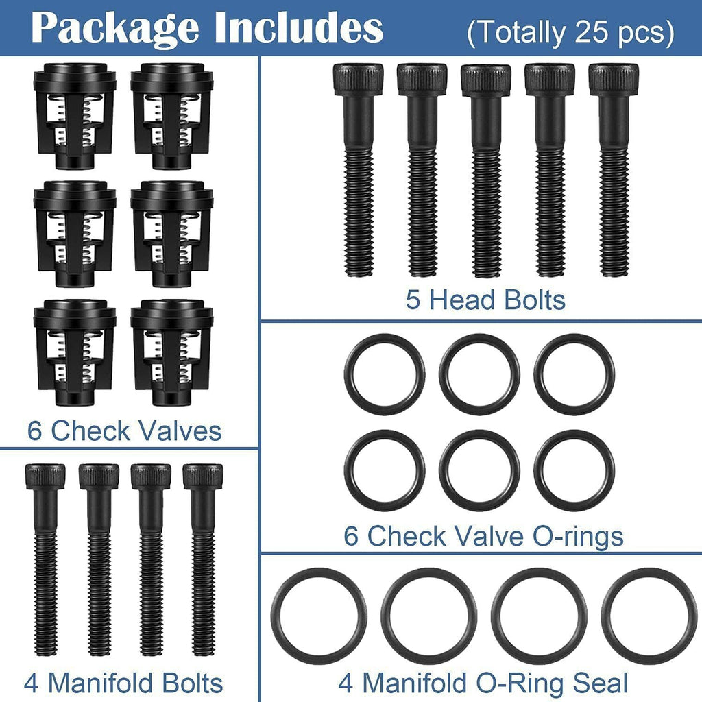 190591GS Pressure Washer Pump Valve Check Kit for Briggs & Stratton, Snapper