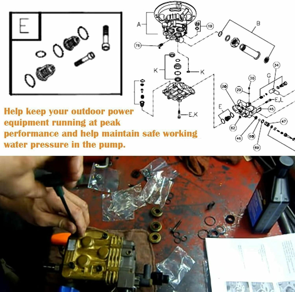 190591GS Pressure Washer Pump Valve Check Kit for Briggs & Stratton, Snapper