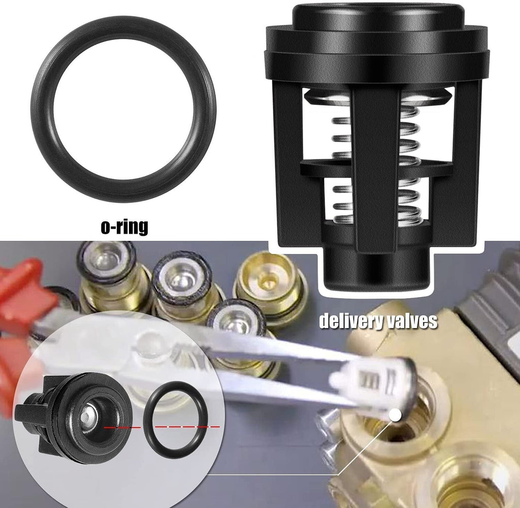 190591GS Pressure Washer Pump Valve Check Kit for Briggs & Stratton, Snapper