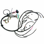 03-07 LS Vortec Stand alone Wire Harness Drive by wire 4L60E 4.8L 5.3L 6.0L DBW