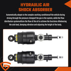 Pair Rear Hydraulic Air Suspension Shock Struts For Infiniti QX56 QX80 2011-20 A