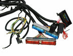 DBC For 97-06 Standalone Wire Harness w/4L80E 4.8L 5.3 6.0 LS LS1 SWAP VORTEC US
