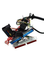 DBC Standalone Wiring Harness 4.8 5.3 6.0 Fits 1997-2006 LS1 Engine w/ 4L60E USA