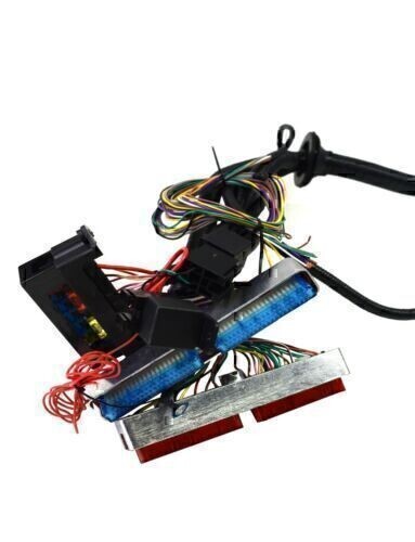 DBC Standalone Wiring Harness 4.8 5.3 6.0 Fits 1997-2006 LS1 Engine w/ 4L60E USA
