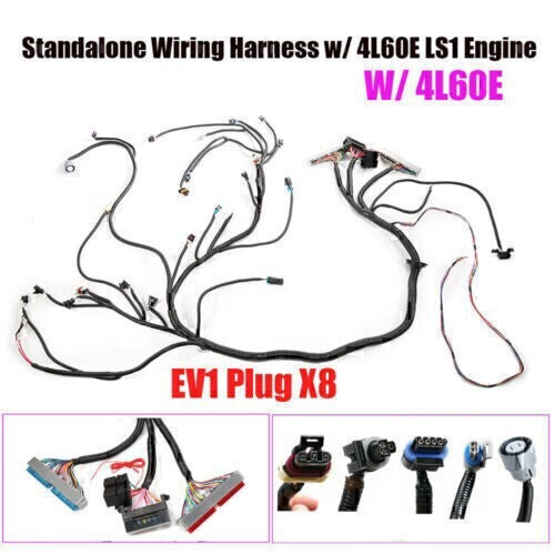 DBC Standalone Wiring Harness 4.8 5.3 6.0 Fits 1997-2006 LS1 Engine w/ 4L60E USA