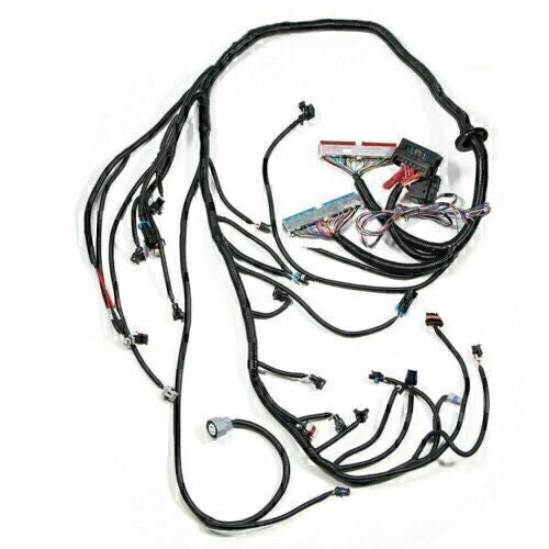 DBC Standalone Wiring Harness 4.8 5.3 6.0 Fits 1997-2006 LS1 Engine w/ 4L60E USA