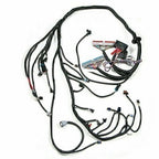 DBC Standalone Wiring Harness 4.8 5.3 6.0 Fits 1997-2006 LS1 Engine w/ 4L60E USA