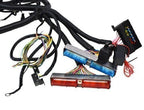 DBC Standalone Wiring Harness 4.8 5.3 6.0 Fits 1997-2006 LS1 Engine w/ 4L60E USA