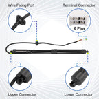 Rear Tailgate Power Hatch Lift Support Strut for 2013-18 Toyota RAV4 6892009010!
