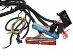 LS SWAPS STANDALONE WIRING HARNESS W/4L60E 97 98 -06 4.8L 5.3L 6.0 GM LS1 ENGINE
