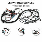 LS Swap LS1 Engine STANDALONE HARNESS T56 Manual Tran 4.8/5.3/6.0L 97 -06 DBC