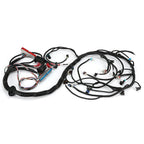 LS Swap LS1 Engine STANDALONE HARNESS T56 Manual Tran 4.8/5.3/6.0L 97 -06 DBC