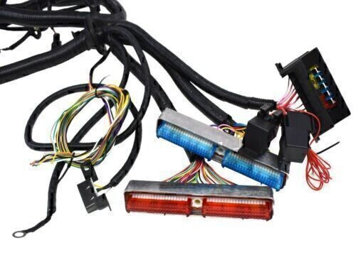 FOR 97-06 LS1 Engine w/4L60E DBC Standalone Wiring Harness4.8 5.3 6.0 Direct-Fit