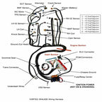 FOR 97-06 LS1 Engine w/4L60E DBC Standalone Wiring Harness4.8 5.3 6.0 Direct-Fit